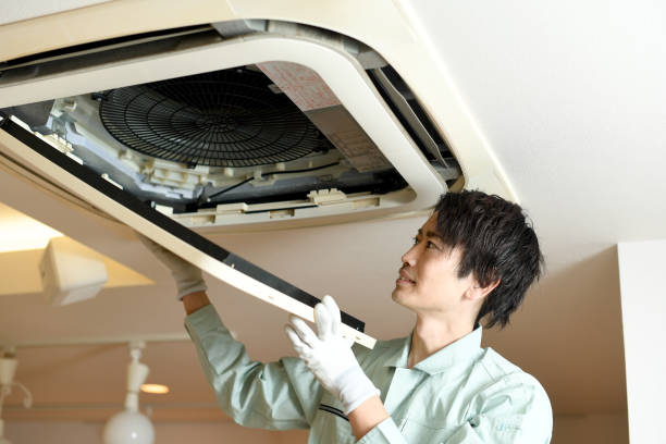 Best Ductwork Cleaning Services  in Harvey, ND